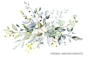 Herbal Watercolor collection, a Work Illustration by Lisima (Thumbnail 2 of 14)