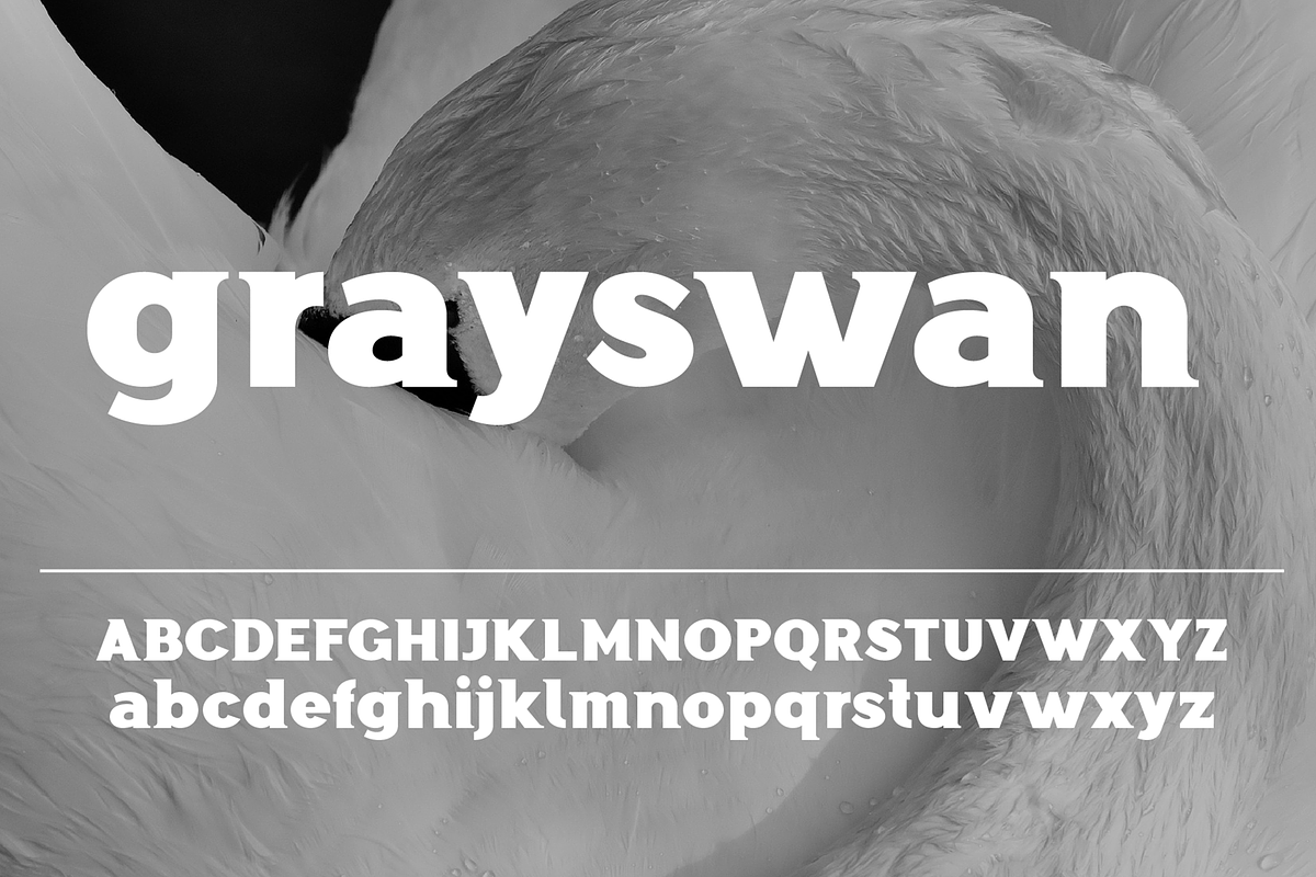 Grayswan font family, a Serif Font by vlad.berla (Photo 2 of 8)