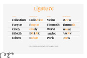 cinema sunday, a Serif Font by INKSUN™ (Thumbnail 7 of 11)