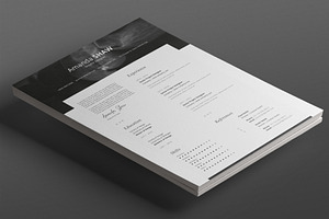 Leonis Resume Template