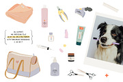 Dog Care Essentials & Funny Quotes, an Object Graphic by Ruslana Lubenets (Thumbnail 7 of 19)