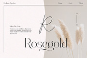 Dealoras Font Duo, a Serif Font by Attract Studio (Thumbnail 4 of 17)
