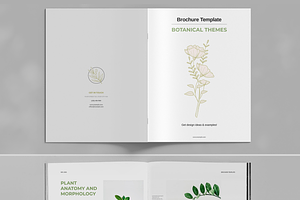 Botanical Green Nature Brochure