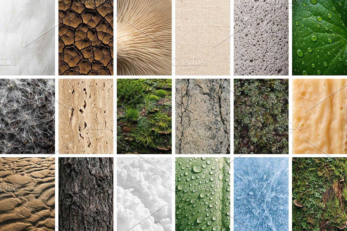 100 Organic Nature Texture, a Background Photo by Selenique Studio (Photo 8 of 10)