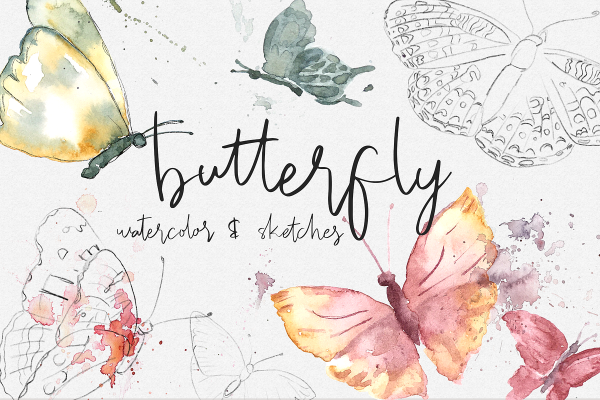 Butterfly Watercolor & Sketches, a Texture Illustration by plaidGecko (Photo 1 of 5)