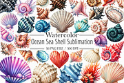 Ocean Sea Shell Sublimation Clipart, an Illustration by Libby Wishes (Thumbnail 1 of 7)