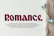 Ecuador modern retro typeface, a Serif Font by WAP (Thumbnail 4 of 7)
