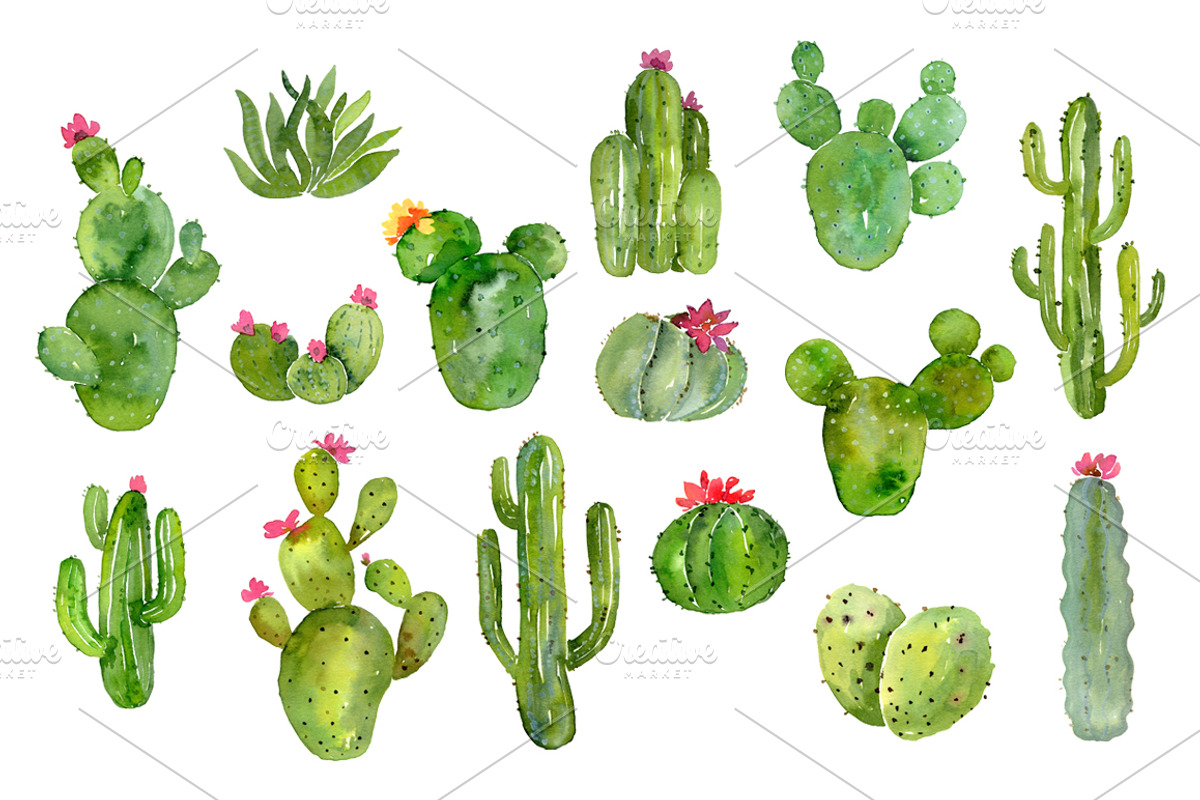 Watercolor Green Cacti Png, an Illustration by GraphicsDish (Photo 2 of 4)