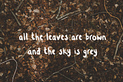 Hedgehog Hand Written Font, a Script Font by CreativeWilderness (Thumbnail 5 of 8)