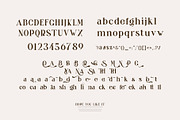 Blingh Ligature serif typeface, a Serif Font by yaqublekker (Thumbnail 9 of 9)