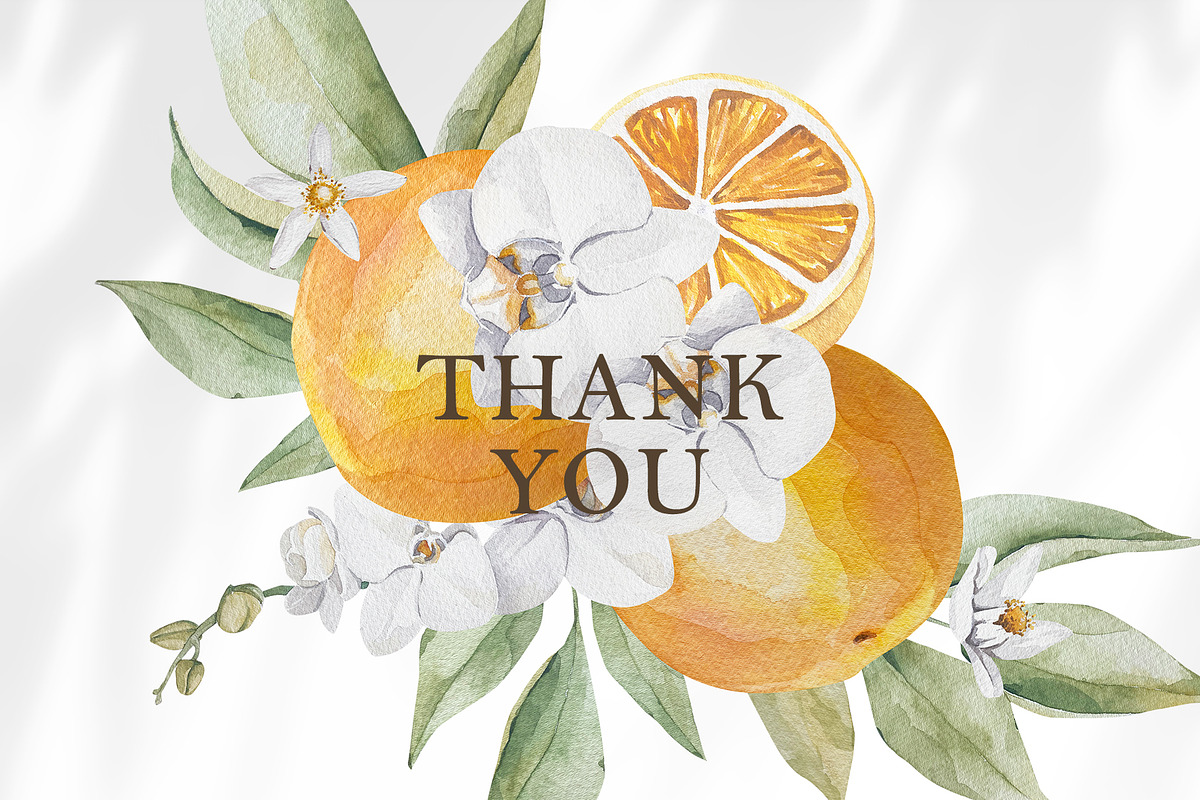 Watercolor citrus orange clipart, an Illustration by MariGraphic boutique (Photo 10 of 10)