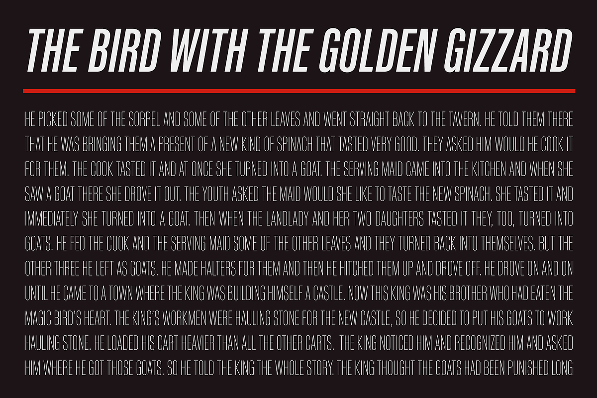 Kaneda Gothic, a Sans Serif Font by Dharma Type (Photo 9 of 10)