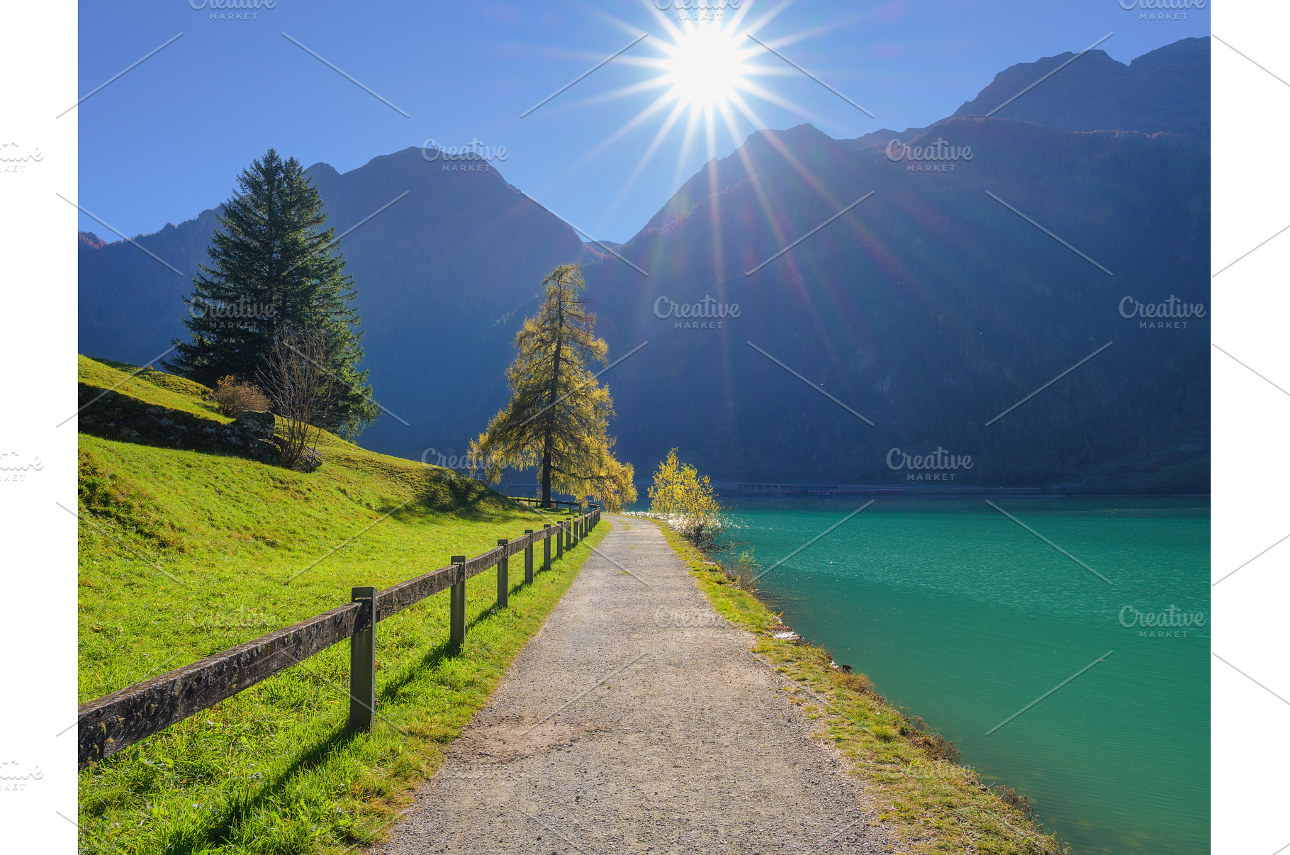 Scenic view of a walking path along, a Nature Photo by den-belitsky