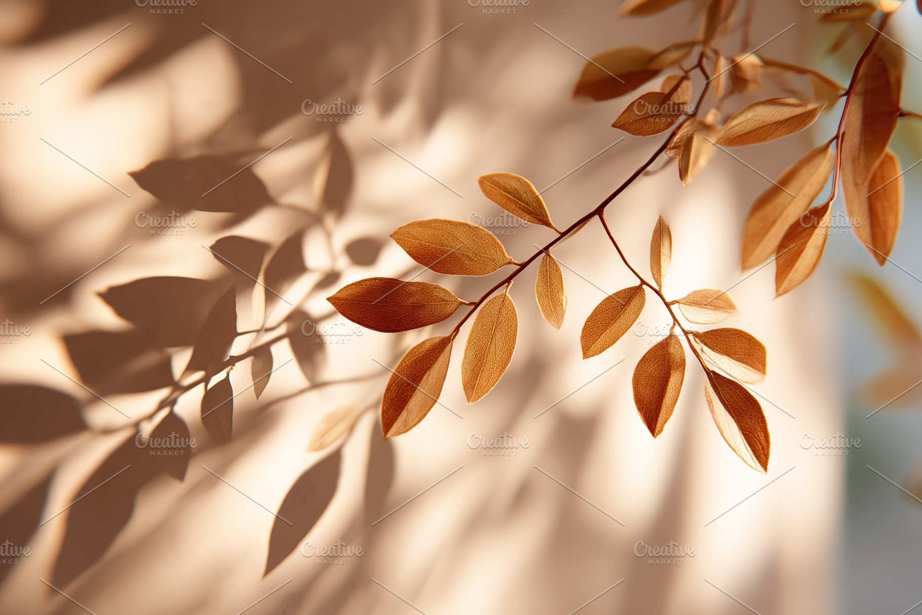 Delicate autumn leaves casting intricate shadows in soft light, a Photo by AlyaAnd