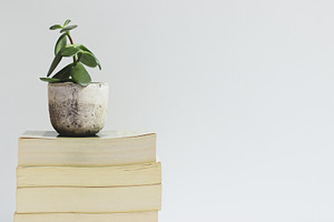 Stack of Books with Succulent, a Nature Photo by René Jordaan Photography