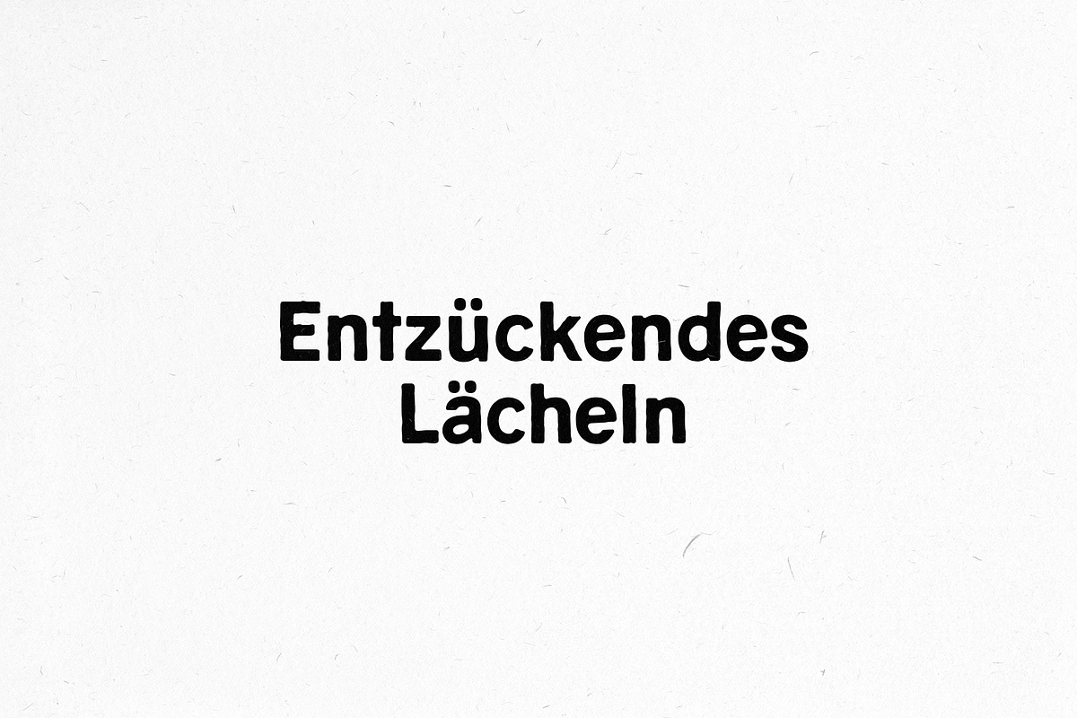 Veld Font Family, a Sans Serif Font by Migomojo Type House (Photo 8 of 12)