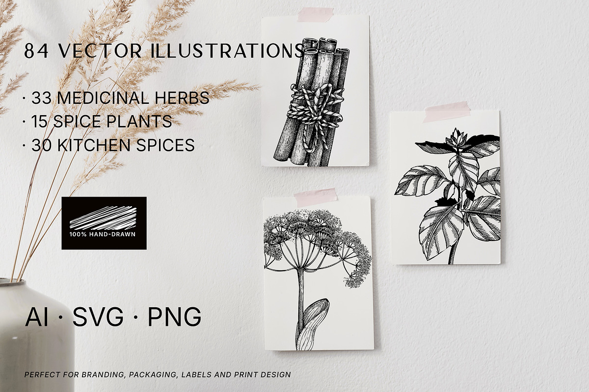 BUNDLE - Vector Herbs & Spices, a Food Illustration by Yevheniia (Photo 12 of 12)