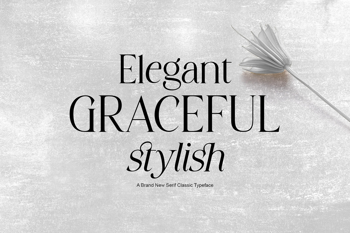 Stylish Avengers Serif Family, a Serif Font by moriztype (Photo 8 of 13)