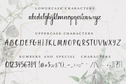 Coconut Font +FREE abstract patterns, a Script Font by Chimerique (Thumbnail 8 of 13)