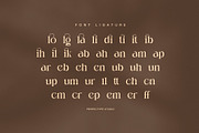 Molgin Elegant Serif Font, a Serif Font by Perfectype (Thumbnail 8 of 8)