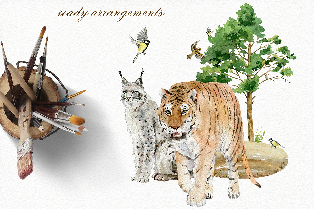 Forest watercolor designer toolkit, an Animal Illustration by Elegantia (Photo 18 of 28)