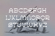 Aurora - Brutalist Display Typeface, a Serif Font by HipFonts (Thumbnail 4 of 8)