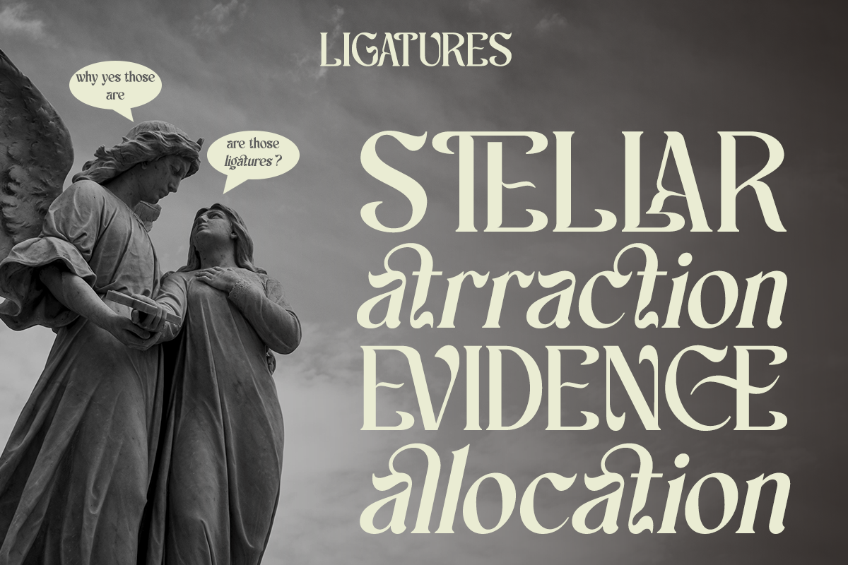 Scales - Aesthetic Ligatures Serif, a Serif Font by Say Studio (Photo 10 of 13)