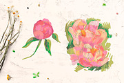 Peonies Clipart, an Illustration by Lucyinyourheart (Thumbnail 2 of 5)