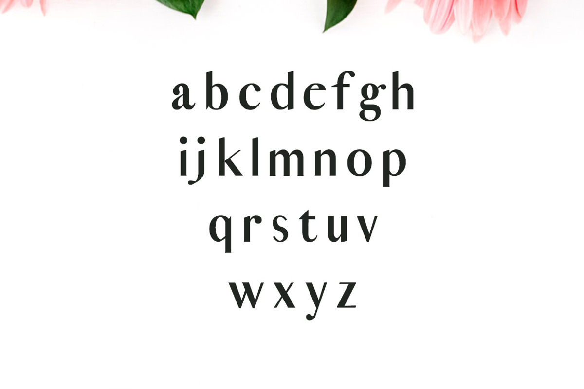Cordaro Sans Serif 2 Font Family preview 3