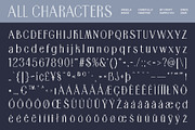 Ansela Disco, a Sans Serif Font by Craft Supply Co. (Thumbnail 8 of 8)