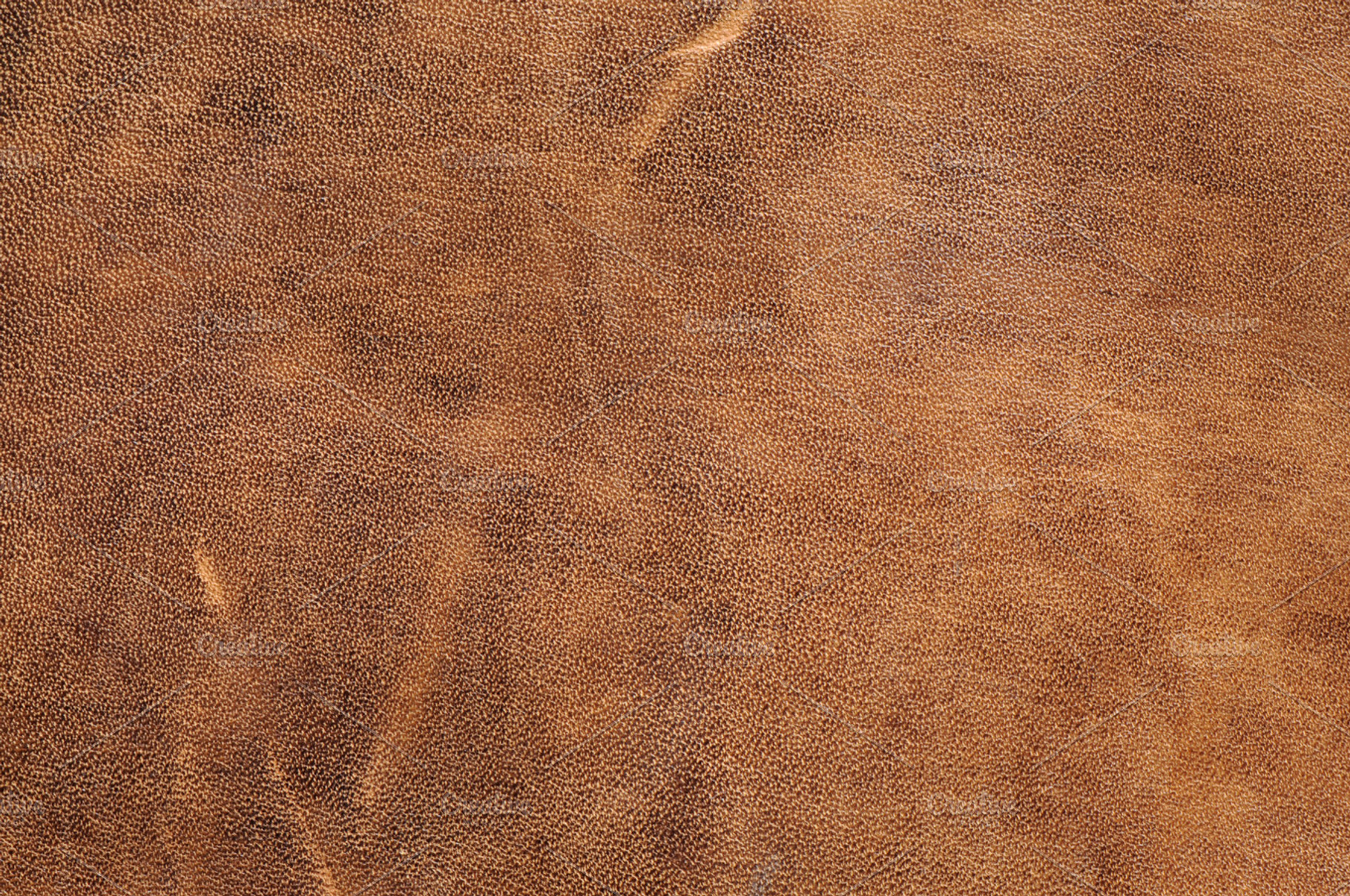 Leather texture featuring abstract, animal, and antique, an Abstract Photo by MashaCvijanovic