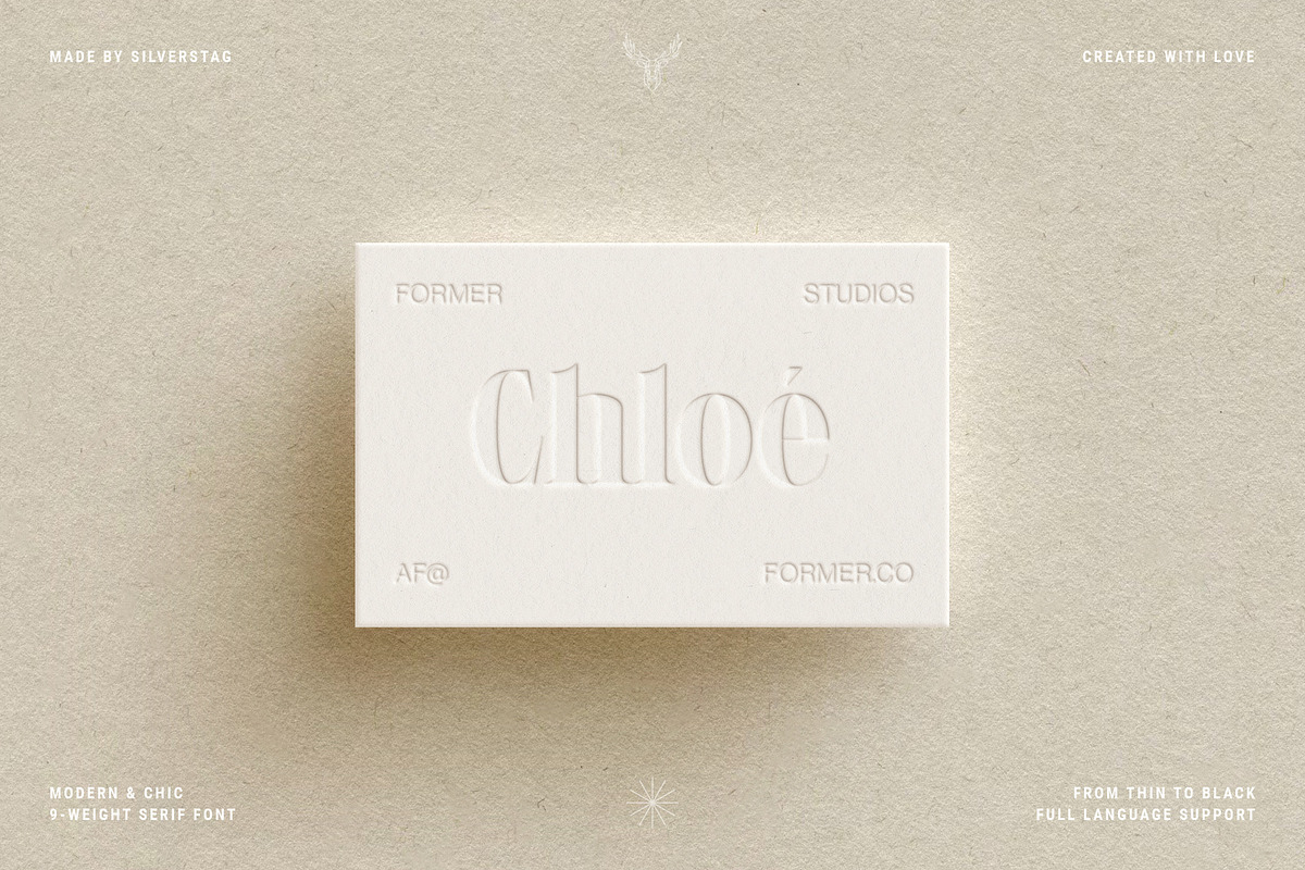 LaRuja - Modern Serif Typeface, a Serif Font by SilverStag Type Foundry (Photo 18 of 20)