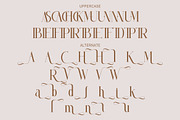 Catalinna, a Serif Font by Kenrichi (Thumbnail 5 of 10)