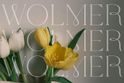 Wolmer - Modern And Elegant Serif, a Serif Font by Muflieart (Thumbnail 5 of 10)