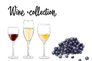 Wine artistic set, a Food Illustration by Schumacher Shop (Thumbnail 4 of 8)