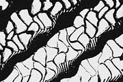 Scales and Fur, a Texture Graphic by Jennifer Lauren Creative (Thumbnail 19 of 26)