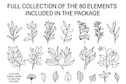 Botanical Vector Greenery & Flowers, a Decorative Illustration by FourLeafLover (Thumbnail 2 of 5)