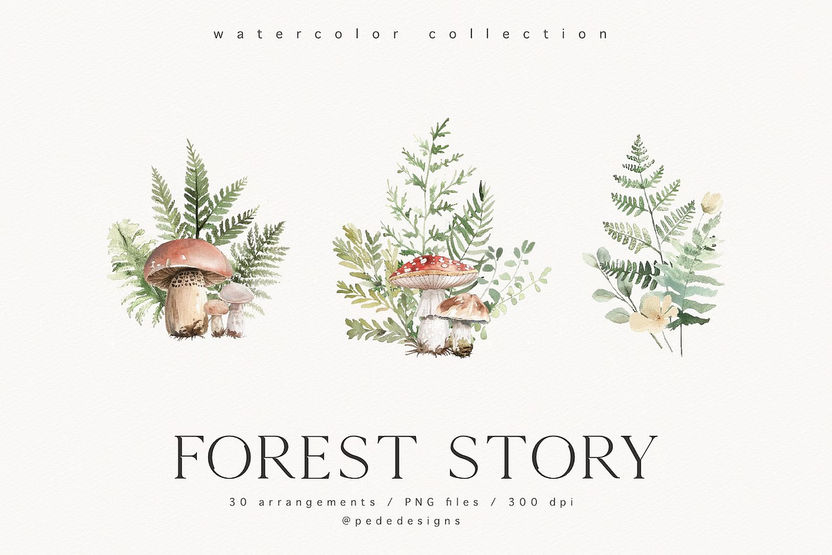 Forest Story, an Animal Illustration by PeDe Designs (Photo 5 of 10)