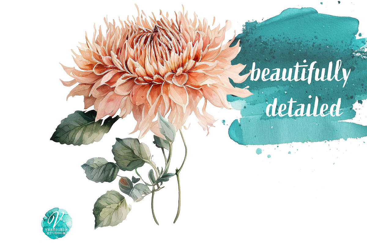 Watercolor Peach Dahlias Clipart, an Object Illustration by Verdigris Studios (Photo 4 of 4)