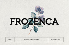Frozenca Modern Serif Display Font