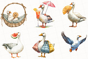 Silly Summer Goose Clipart, an Illustration by OK Design (Thumbnail 2 of 5)