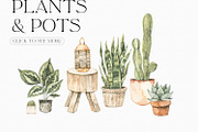 Watercolor Interior, decor & plants, a Decorative Illustration by Kate Macate (Thumbnail 5 of 10)