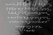 Loyalneha Brush Script, a Script Font by madeDeduk (Thumbnail 6 of 8)