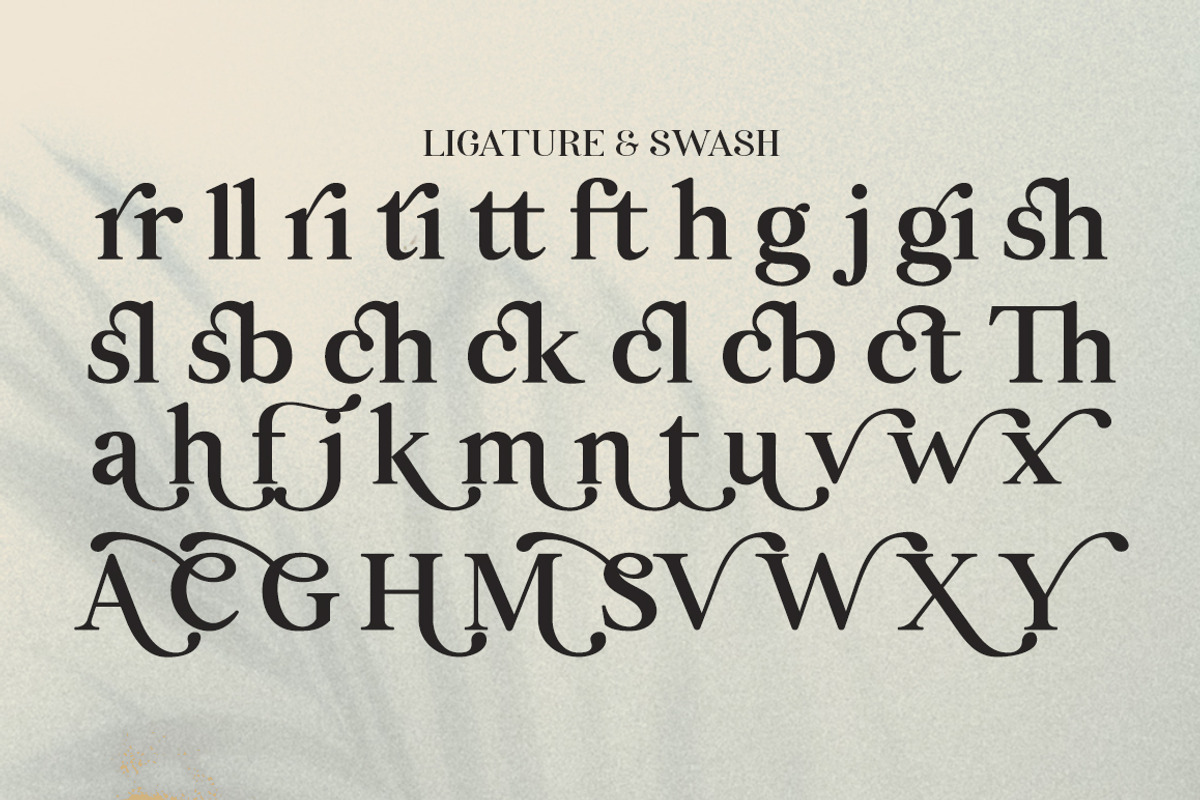 Rellita Display, a Serif Font by Gatype (Photo 10 of 11)