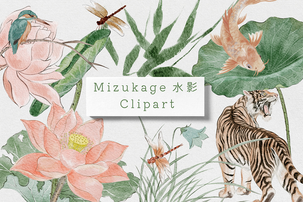 Japanese Watercolor Clipart, an Object Graphic by mila_leev (Photo 1 of 9)