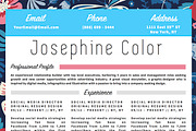 Beautiful Resume CV Template MS Word, a Resume Template by Stand Out Shop (Thumbnail 2 of 5)