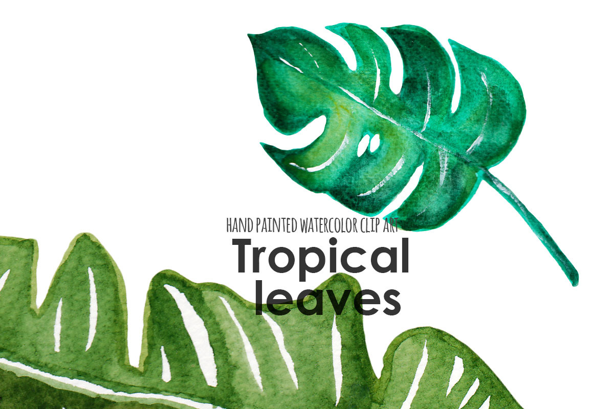 Palm leaf tropical clip art, an Illustration by SandraGraphicDesign (Photo 5 of 5)