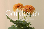 Norelisa Modern Branding Sans Font, a Serif Font by RantautypeStudio (Thumbnail 10 of 17)