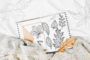 Fall vibes Line art leaves & pumpkin, an Illustration by Dervik Art Store (Thumbnail 4 of 7)