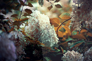 25 Nature Photoshop Actions, an Action Add-On by Bato (Thumbnail 5 of 9)